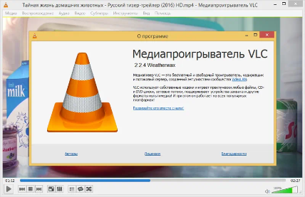 VLC Media Player 3.0.17.3